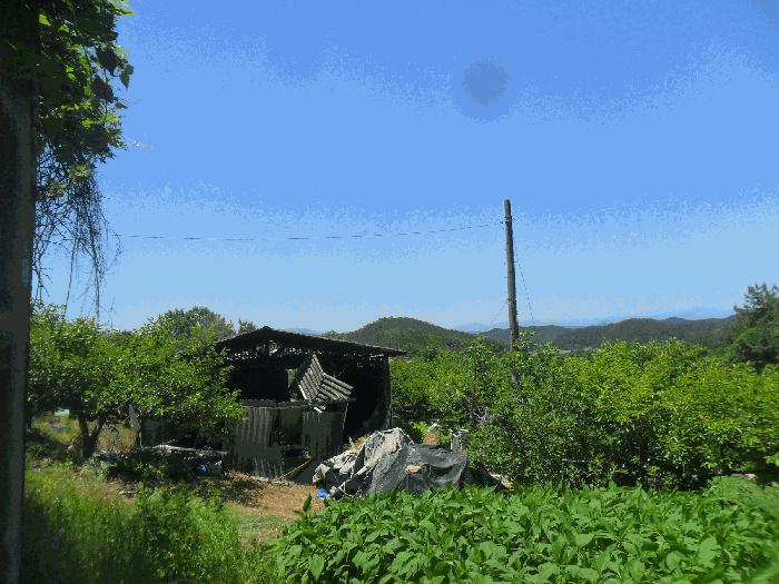 경상남도 창녕군 계성면 명리 191 답 경매 사진 3