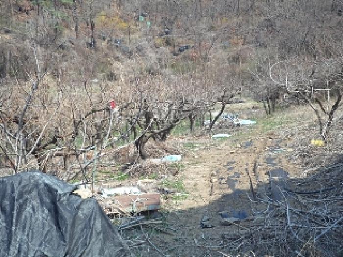 경상남도 창녕군 계성면 명리 191 답 경매 사진 9