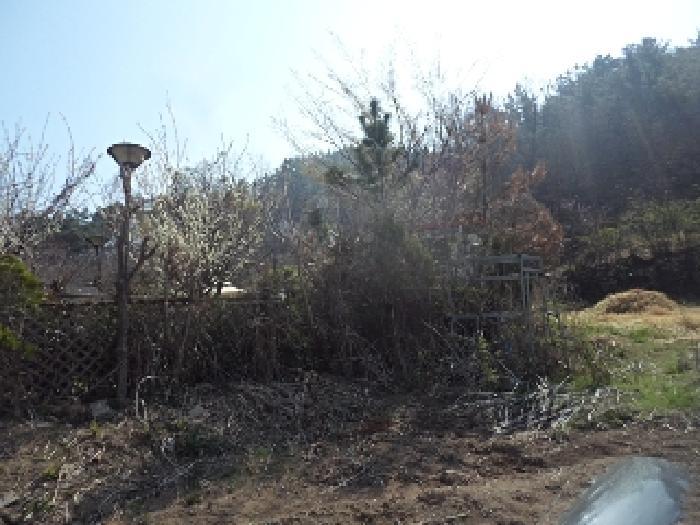 경상남도 창녕군 남지읍 학계리 10-7 전 경매 사진 17