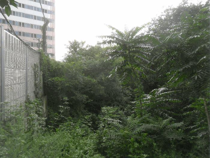 경상남도 밀양시 가곡동 444-5 답 경매 사진 2