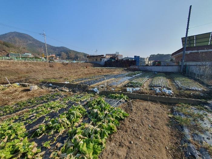 경상남도 거제시 둔덕면 학산리 576-6 답 경매 사진 14
