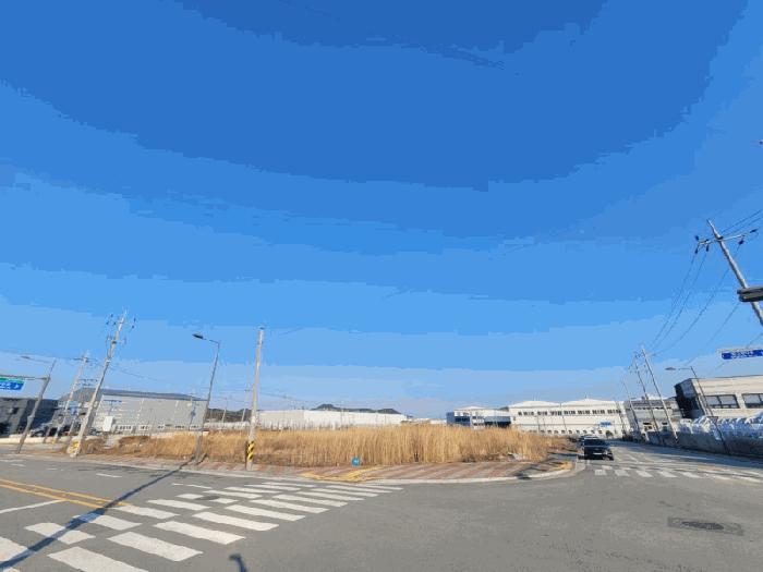 전라남도 함평군 월야면 외치리 1048 대지 경매 사진 2