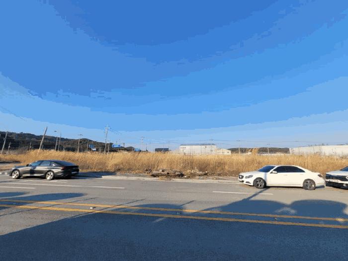 전라남도 함평군 월야면 외치리 1049 대지 경매 사진 4
