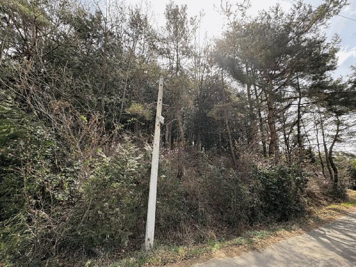 전라남도 무안군 청계면 청계리 산68 임야 경매 사진 7