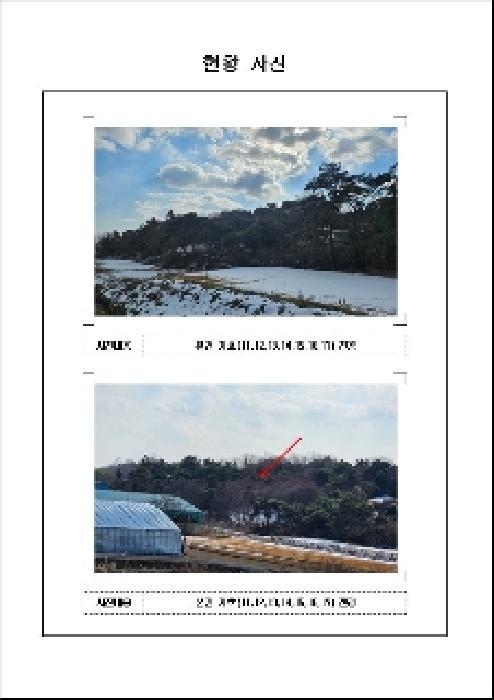 전라남도 함평군 해보면 문장리 868-6 답 경매 사진 11