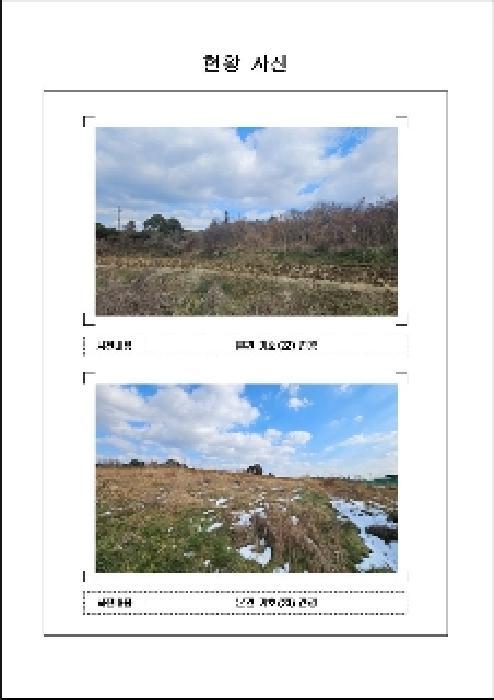 전라남도 함평군 해보면 금덕리 139 도로 경매 사진 15