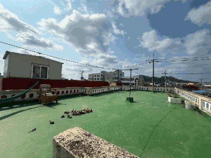 전라남도 목포시 산정동 1081-8 주택 경매 사진 15