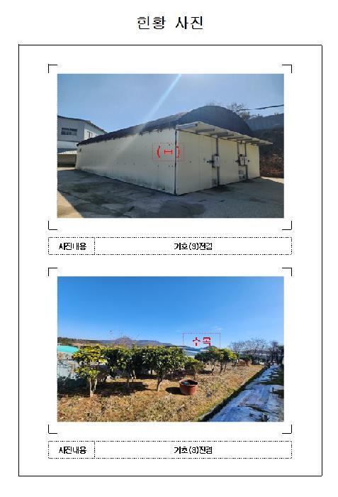 전라남도 영암군 삼호읍 망산리 646-20 과수원 경매 사진 21
