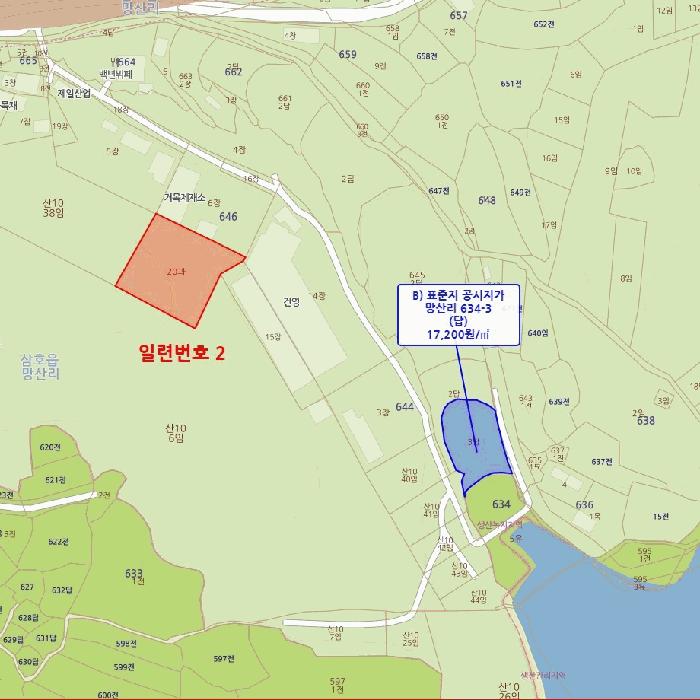 전라남도 영암군 삼호읍 망산리 646-20 과수원 경매 사진 25