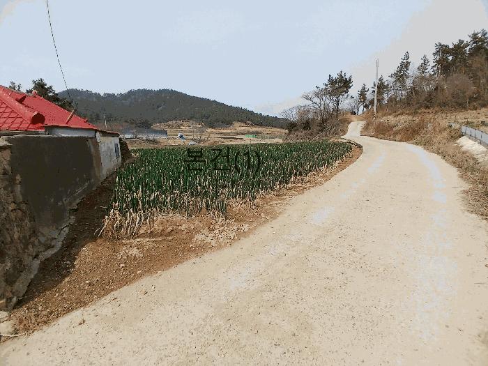전라남도 신안군 자은면 유각리 521 전 경매 사진 3