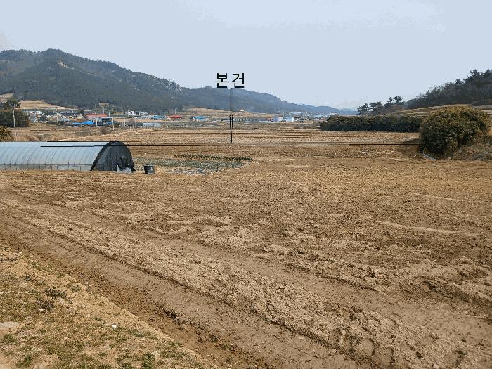전라남도 신안군 자은면 유각리 1251-2 답 경매 사진 6