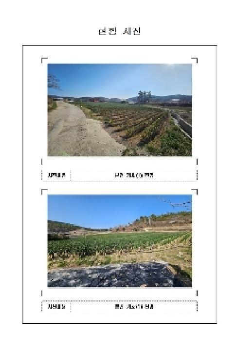 전라남도 신안군 자은면 유각리 1251-2 답 경매 사진 7