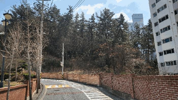 전라남도 목포시 대양동 406-9 전 경매 사진 4
