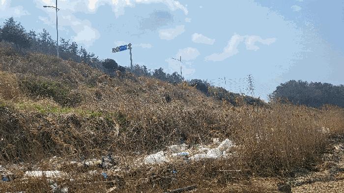 전라남도 목포시 대양동 406-11 전 경매 사진 2