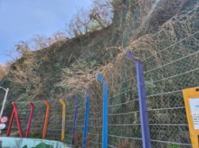 경상남도 고성군 고성읍 수남리 493-1 임야 경매 사진 5