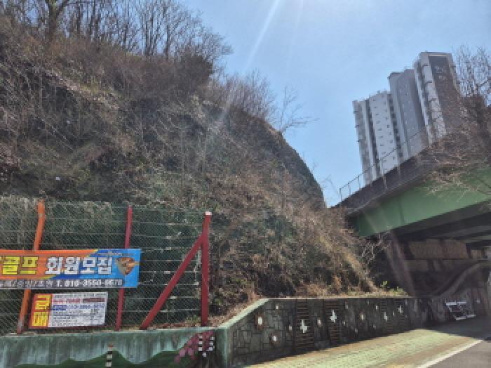 경상남도 고성군 고성읍 수남리 493-1 임야 경매 사진 7