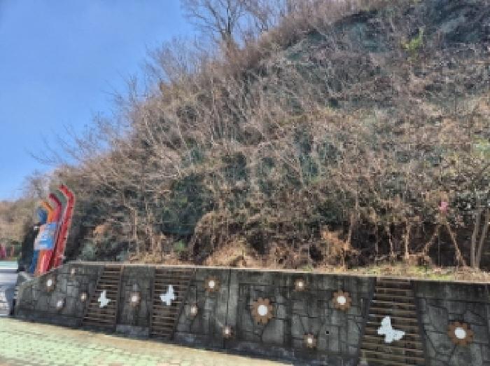 경상남도 고성군 고성읍 수남리 493-1 임야 경매 사진 8