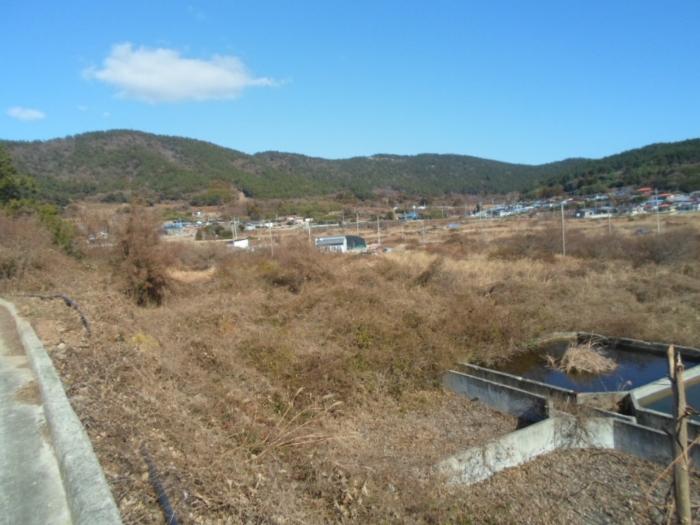 전라남도 완도군 약산면 장용리 1147 답 경매 사진 2