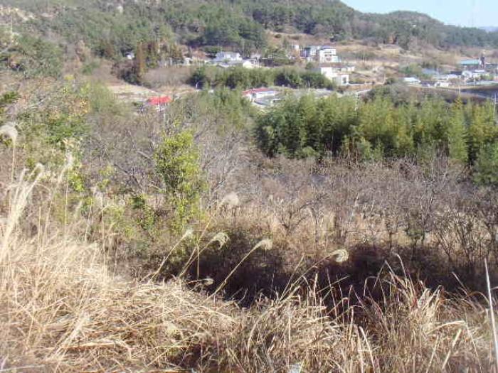 전라남도 완도군 약산면 장용리 1147 답 경매 사진 21