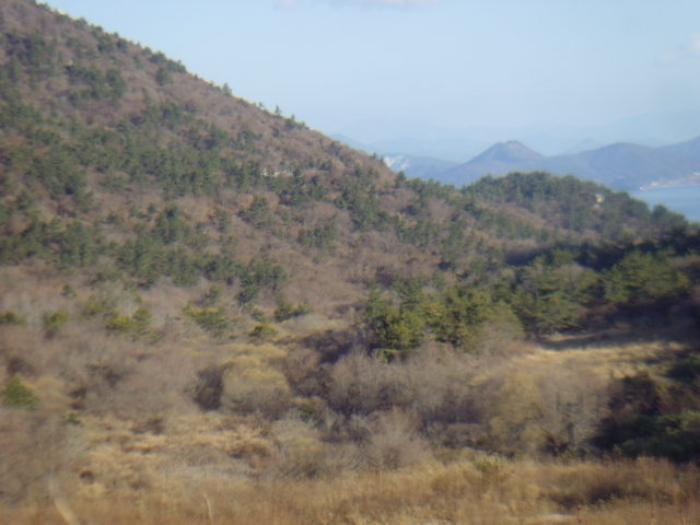 전라남도 완도군 약산면 장용리 1147 답 경매 사진 24