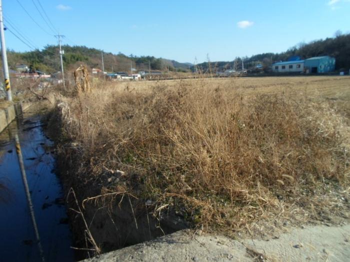 전라남도 완도군 금일읍 충동리 424-2 전 경매 사진 16