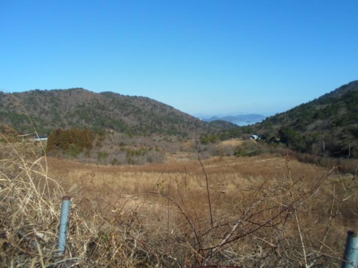 전라남도 완도군 금일읍 충동리 424-2 전 경매 사진 3