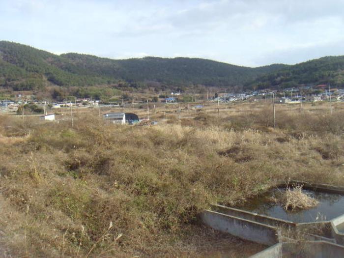 전라남도 해남군 문내면 학동리 40 전 경매 사진 22
