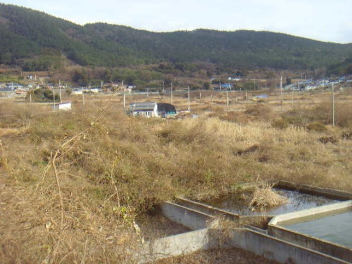 전라남도 해남군 해남읍 내사리 798-1 답 경매 사진 23