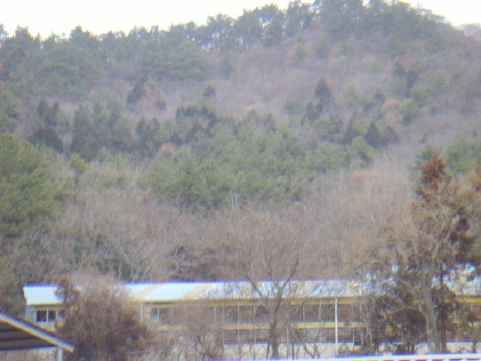 전라남도 해남군 현산면 구산리 524-29 전 경매 사진 3