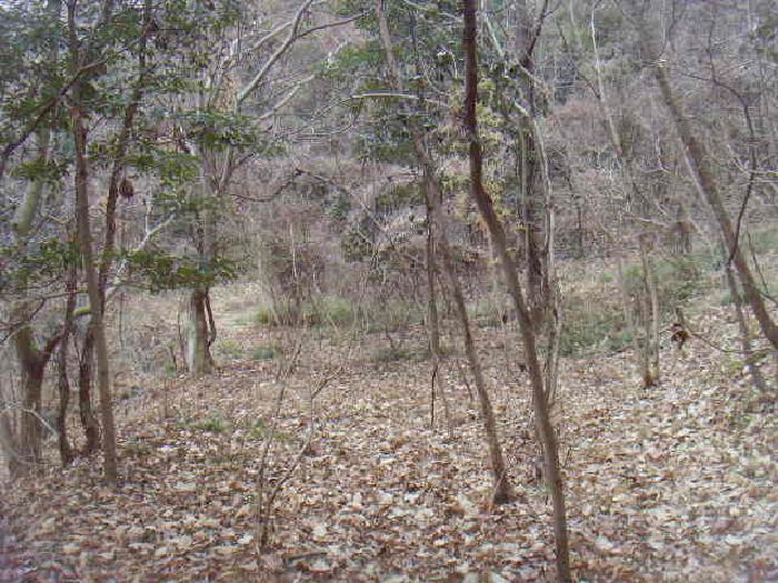 전라남도 해남군 현산면 구산리 524-29 전 경매 사진 4