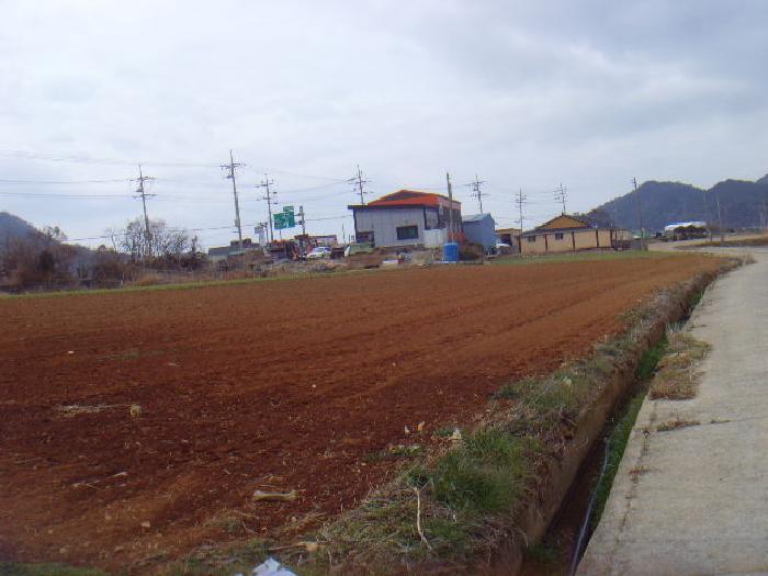 전라남도 해남군 현산면 구산리 524-29 전 경매 사진 7