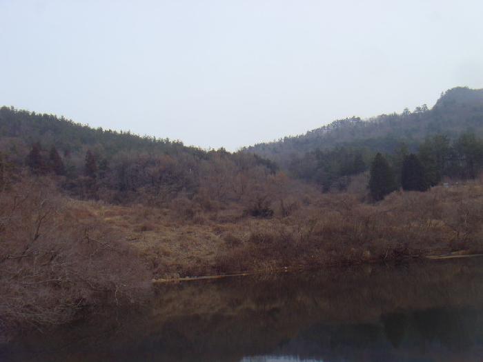 전라남도 해남군 화원면 영호리 산75 임야 경매 사진 2