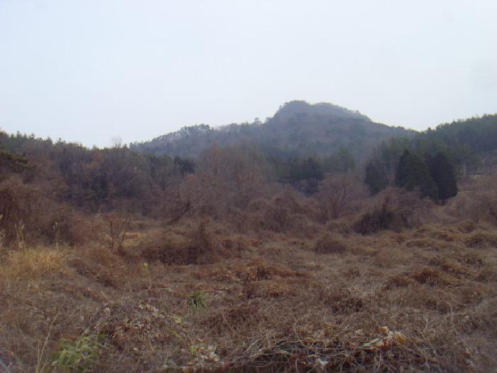 전라남도 해남군 화원면 영호리 산75 임야 경매 사진 3