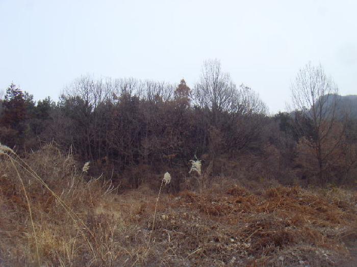 전라남도 해남군 화원면 영호리 산75 임야 경매 사진 4