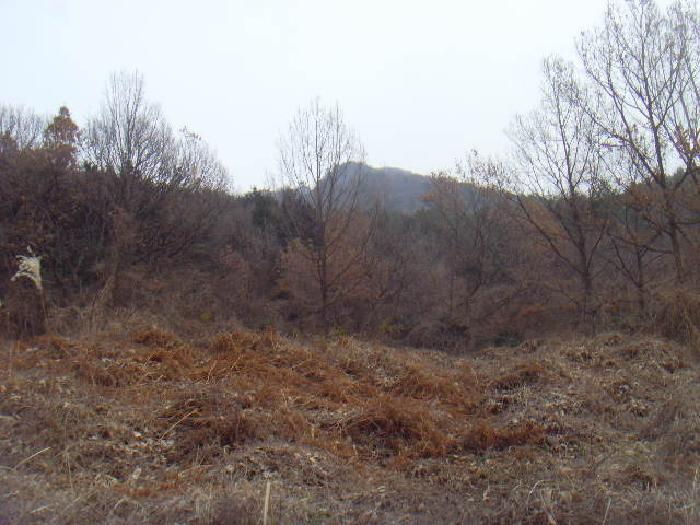 전라남도 해남군 화원면 영호리 산75 임야 경매 사진 5