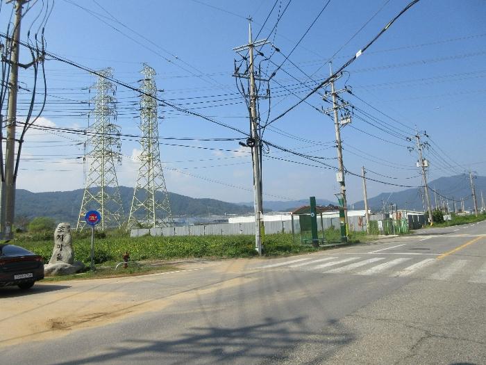 전라남도 보성군 벌교읍 전동리 486-4 답 경매 사진 1