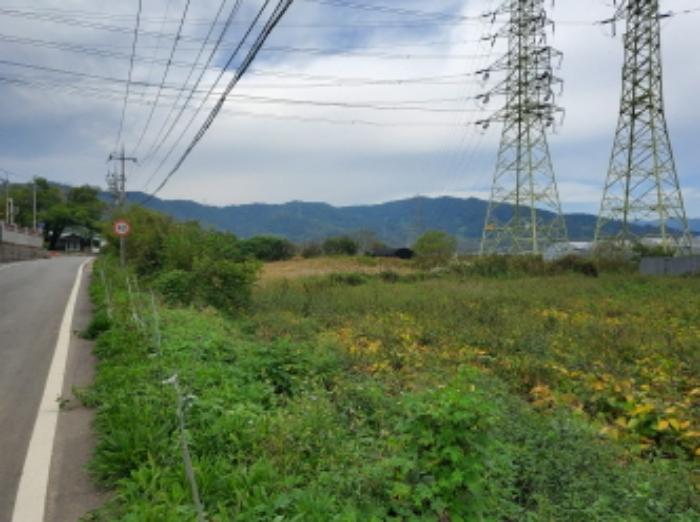전라남도 보성군 벌교읍 전동리 486-4 답 경매 사진 16