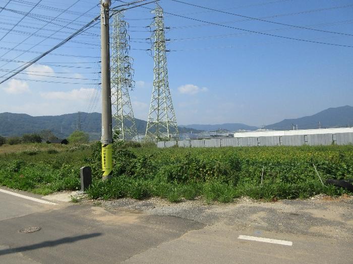 전라남도 보성군 벌교읍 전동리 486-4 답 경매 사진 2