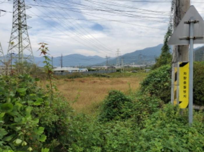 전라남도 보성군 벌교읍 전동리 486-4 답 경매 사진 22