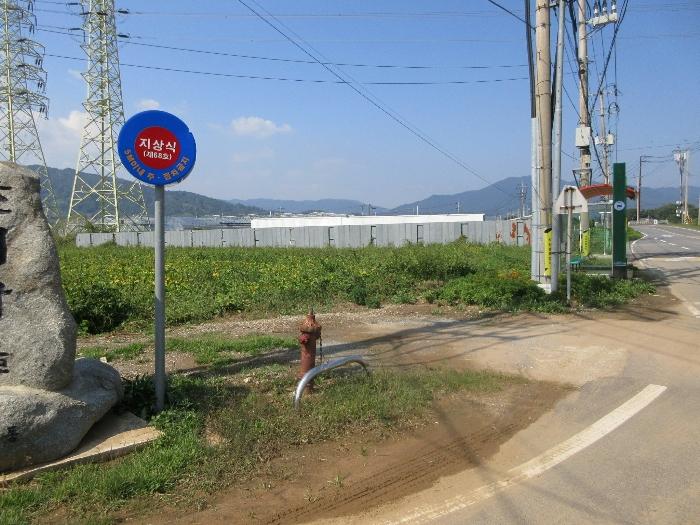 전라남도 보성군 벌교읍 전동리 486-4 답 경매 사진 5