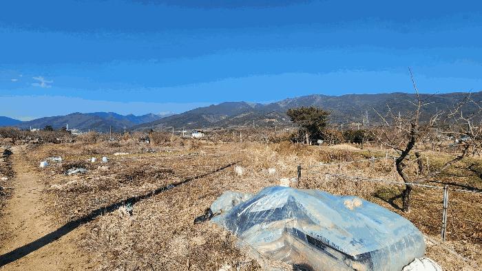 전라남도 구례군 마산면 광평리 785 전 경매 사진 1