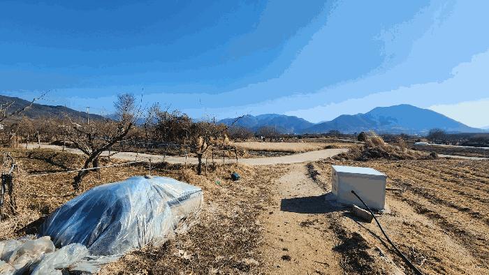 전라남도 구례군 마산면 광평리 785 전 경매 사진 3