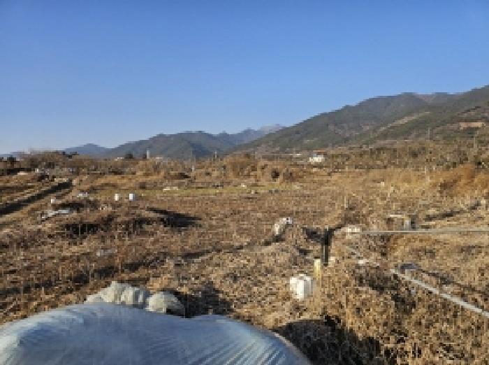 전라남도 구례군 마산면 광평리 785 전 경매 사진 6