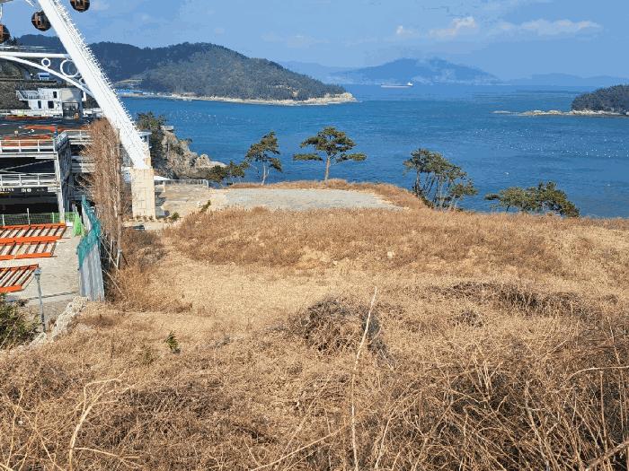 전라남도 여수시 돌산읍 평사리 1292-41 임야 경매 사진 1