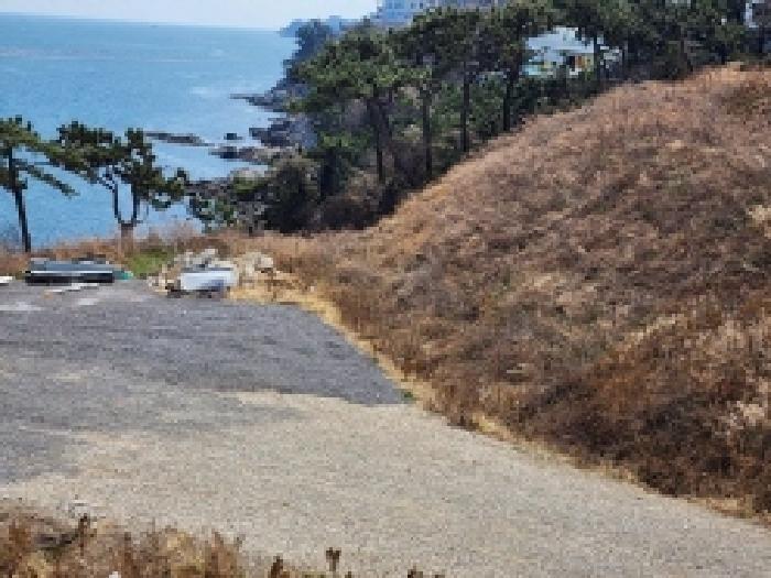 전라남도 여수시 돌산읍 평사리 1292-41 임야 경매 사진 24