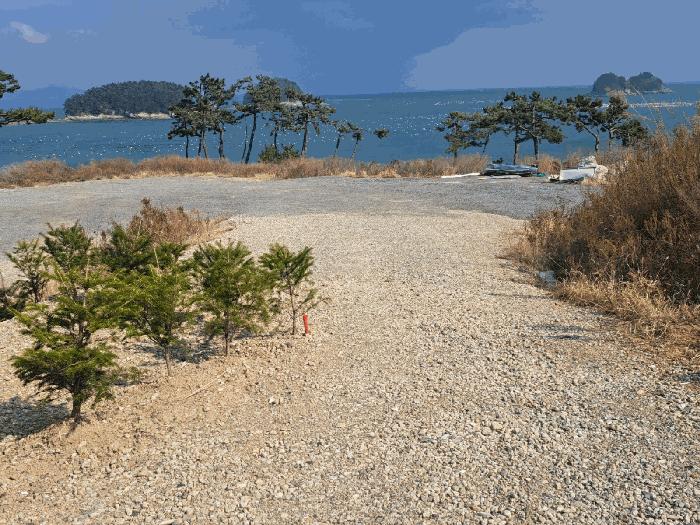 전라남도 여수시 돌산읍 평사리 1292-41 임야 경매 사진 3