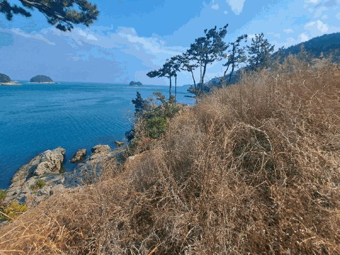 전라남도 여수시 돌산읍 평사리 1292-41 임야 경매 사진 4
