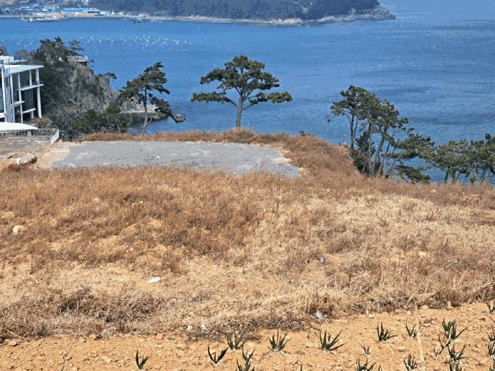 전라남도 여수시 돌산읍 평사리 1292-41 임야 경매 사진 7