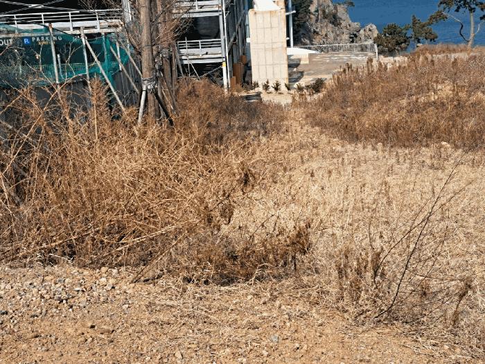 전라남도 여수시 돌산읍 평사리 1292-41 임야 경매 사진 8