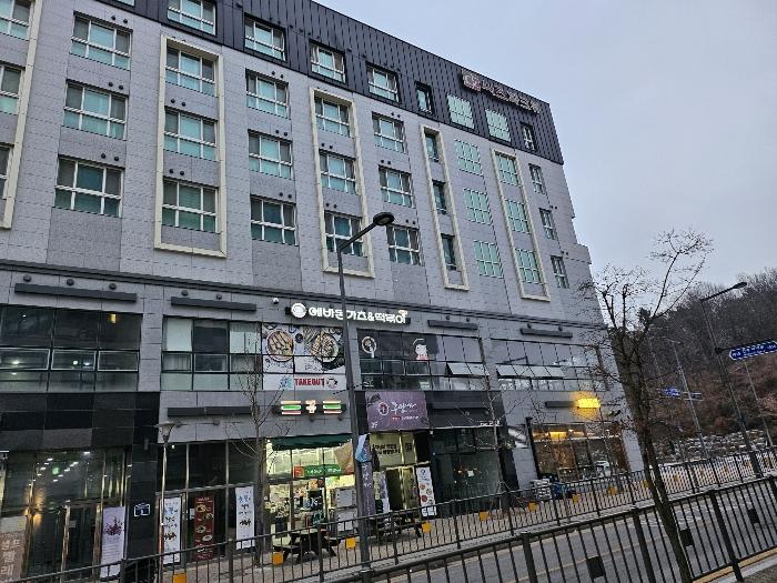 세종특별자치시 국책연구원3로 6, 3층313호 (반곡동,씨즈파크뷰)구) 세종특별자치시 반곡동 849 도시형생활주택 경매 사진 11